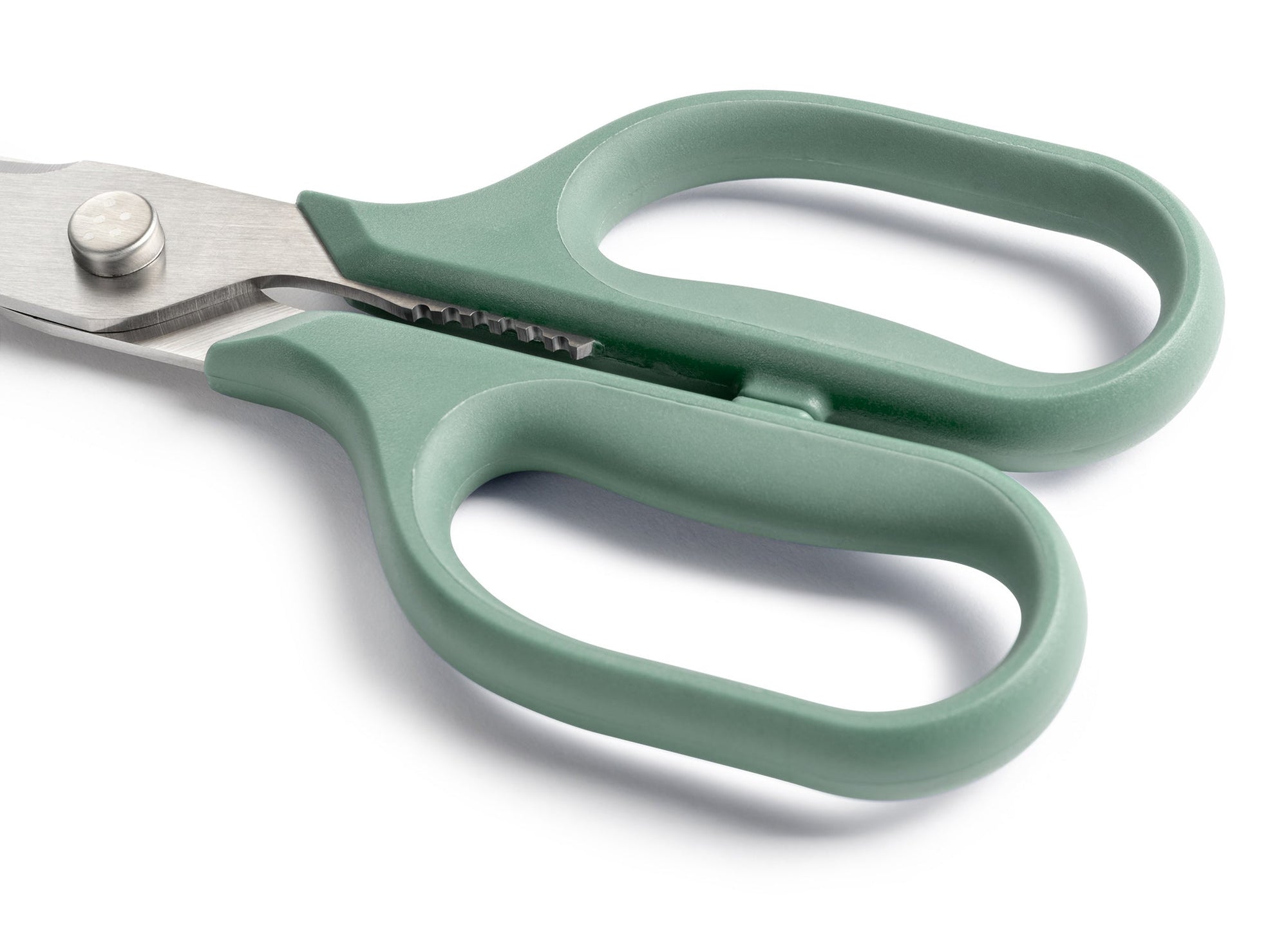 {{green}} Close view of Green Misen Kitchen Shears’ ambidextrous handles.
