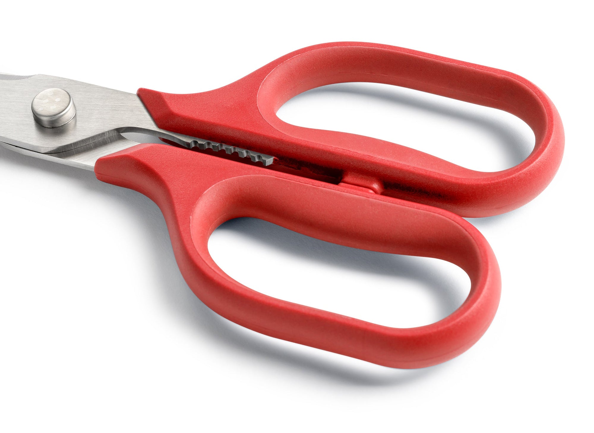 {{red}} Close view of Red Misen Kitchen Shears’ ambidextrous handles.